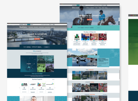 Web development for Limerick - Lemberg Solutions