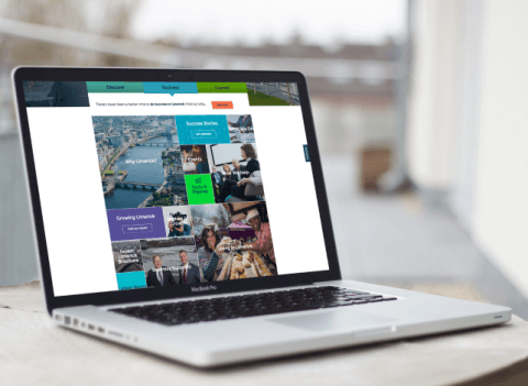 Web development for Limerick - Lemberg Solutions