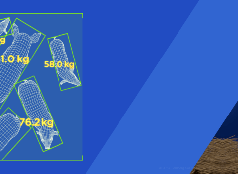 Slider 2 - Embedded vision prototype for livestock weight monitoring - Lemberg Solutions