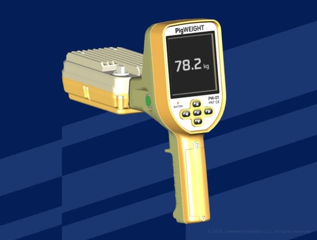 Barkom Pigs - top image - left - Lemberg Solutions.jpg