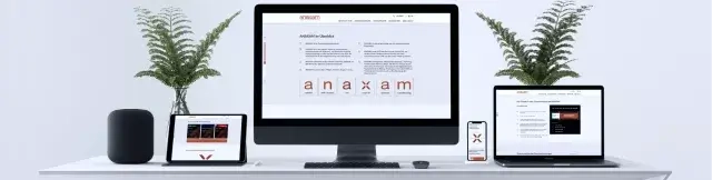 Anaxam: animated website development - Lemberg Solutions