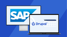 Drupal Commerce shop with SAP integration - Lemberg Solutions - Meta image