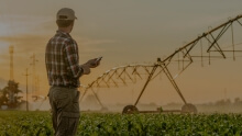 [D] for [A] Energy efficiency in agriculture meta_Lember_Solutions.jpg
