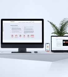 Anaxam_ animated website development - Lemberg Solutions Anaxam_ animated website development - Lemberg Solutions