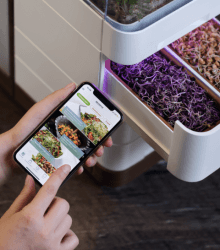 Cell Garden - Lemberg Solutions Cell Garden - Lemberg Solutions