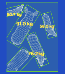 Embedded vision prototype for livestock weight monitoring - Lemberg Solutions - Download PDF form.png Embedded vision prototype for livestock weight monitoring - Lemberg Solutions - Download PDF form.png
