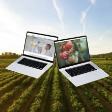 Enhancing Syngenta’s global digital presence with custom enterprise websites - Overview image - Lemberg Solutions