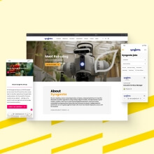 Enhancing Syngenta’s global digital presence with custom enterprise websites - Overview image - Lemberg Solutions