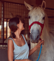 HorseAnalytics - Lemberg Solutions HorseAnalytics - Lemberg Solutions
