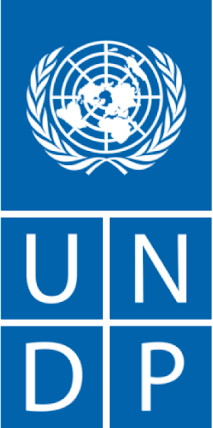 UNDP Logo UNDP Logo